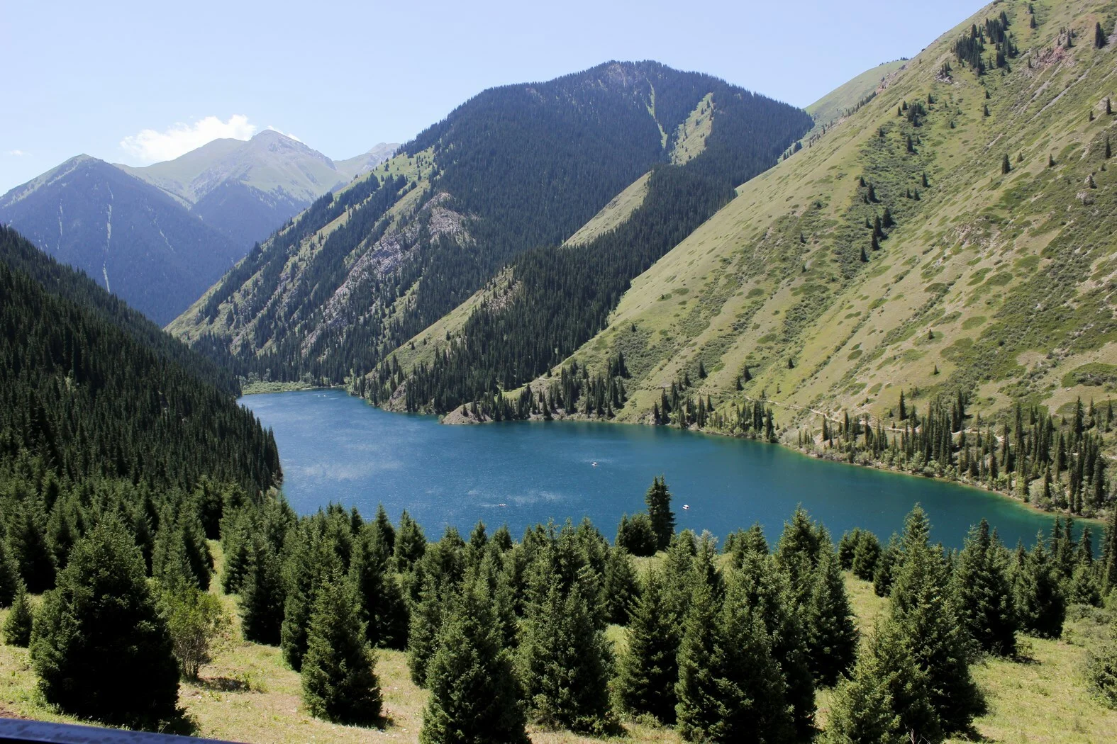 Serene Beach Retreat